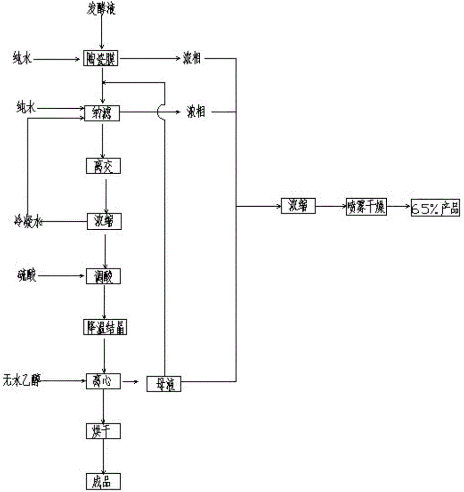 Method of extracting and preparing lysine sulphate from fermenting liquid containing lysin