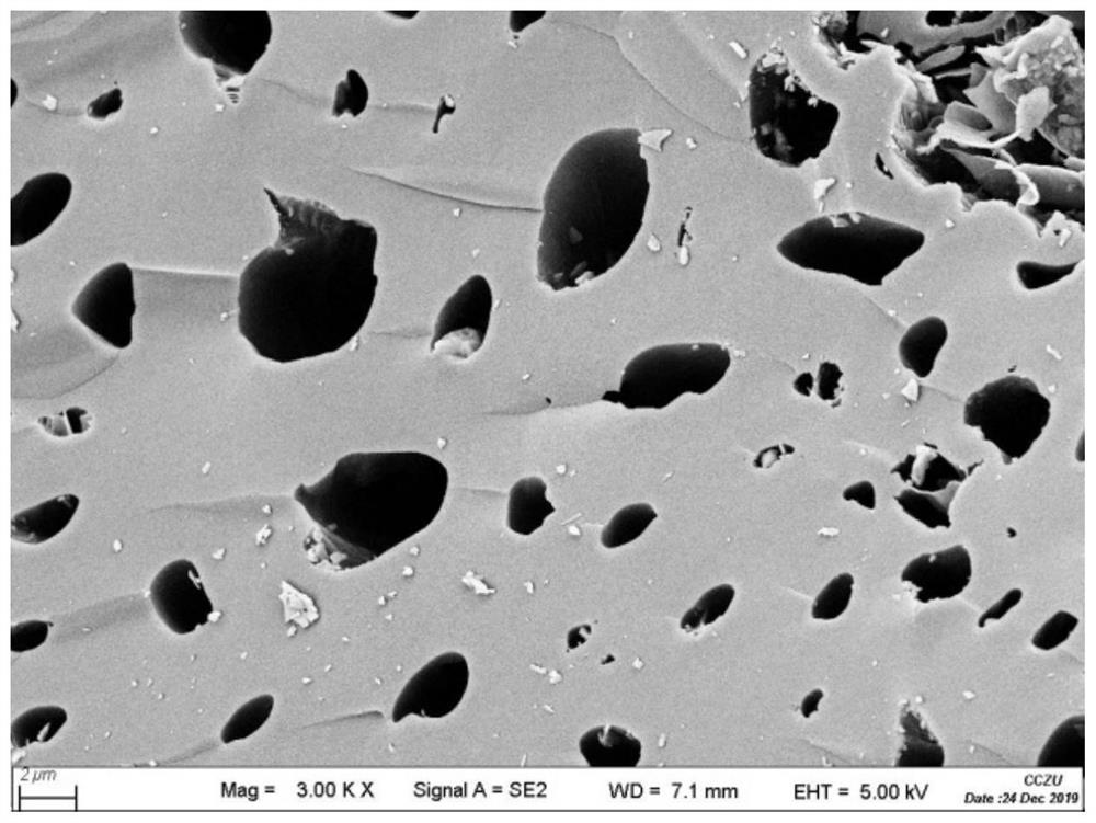 Preparation method of mango seed active biochar, prepared biochar and application thereof