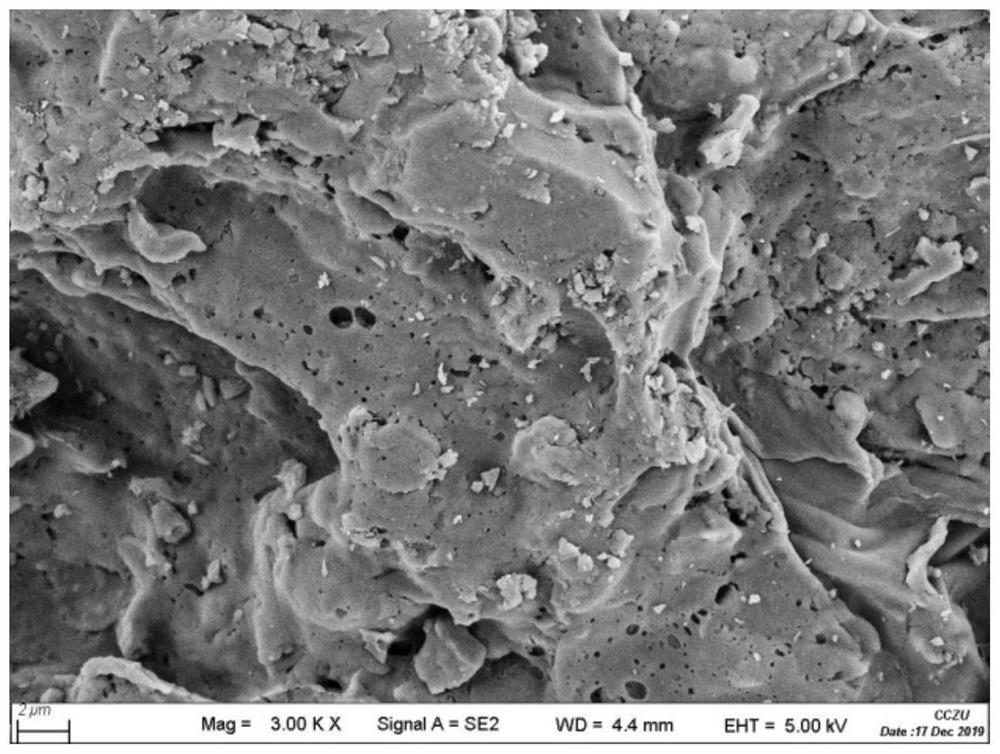 Preparation method of mango seed active biochar, prepared biochar and application thereof