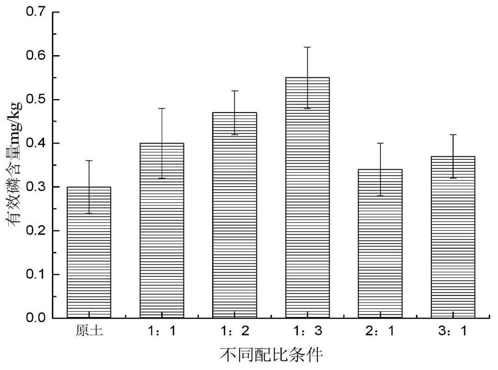 A kind of mineralization conditioner of phosphate solubilizing bacteria and its preparation method and repairing and improving method of heavy metal polluted soil