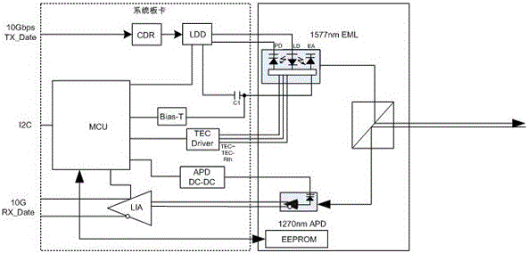 Optical module and optical line terminal device