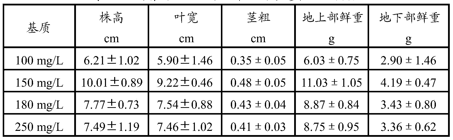 Special seedling raising fertilizer for organic tobacco, and preparation method and application thereof