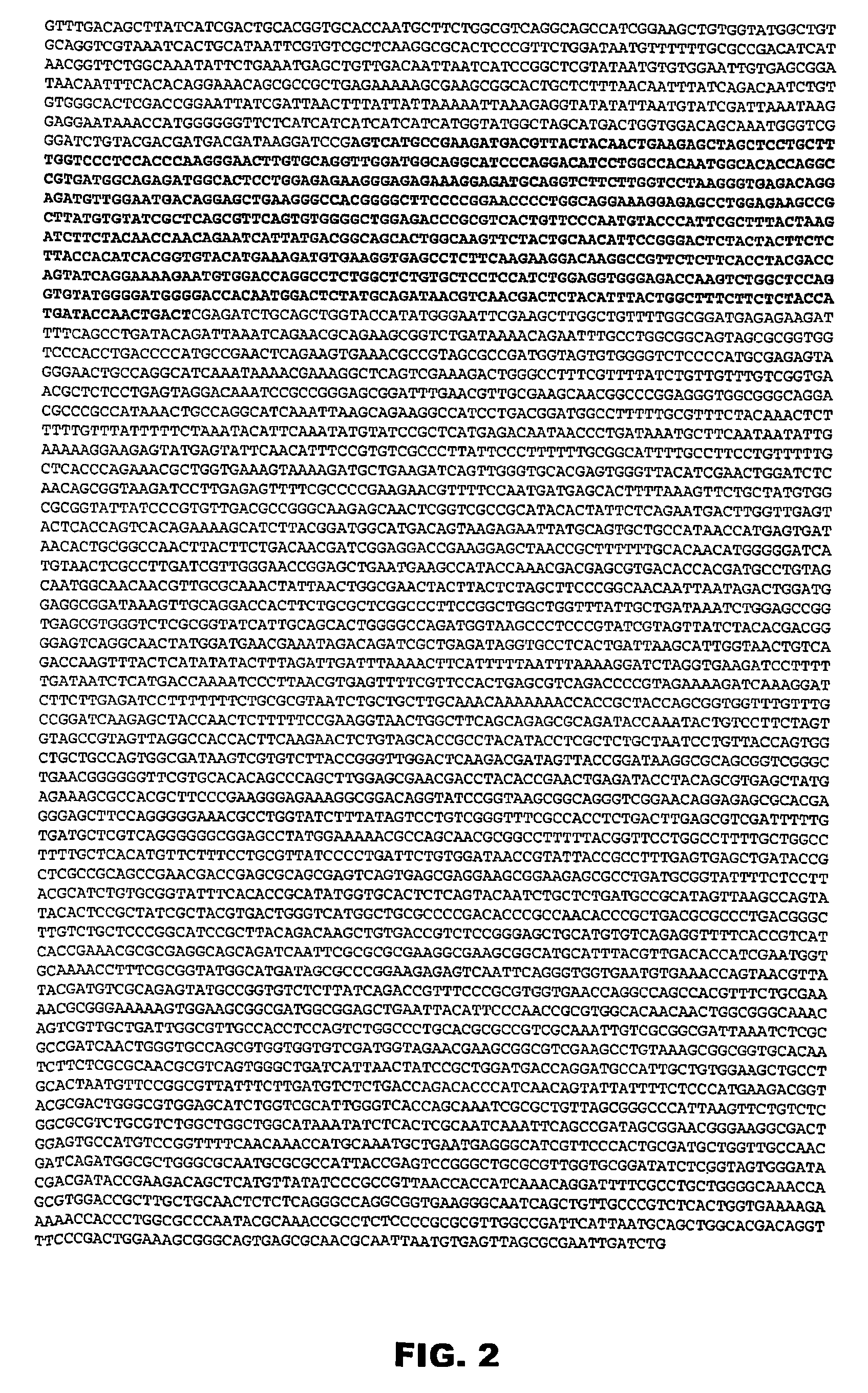 Homotrimeric extended obg3 globular head and uses thereof