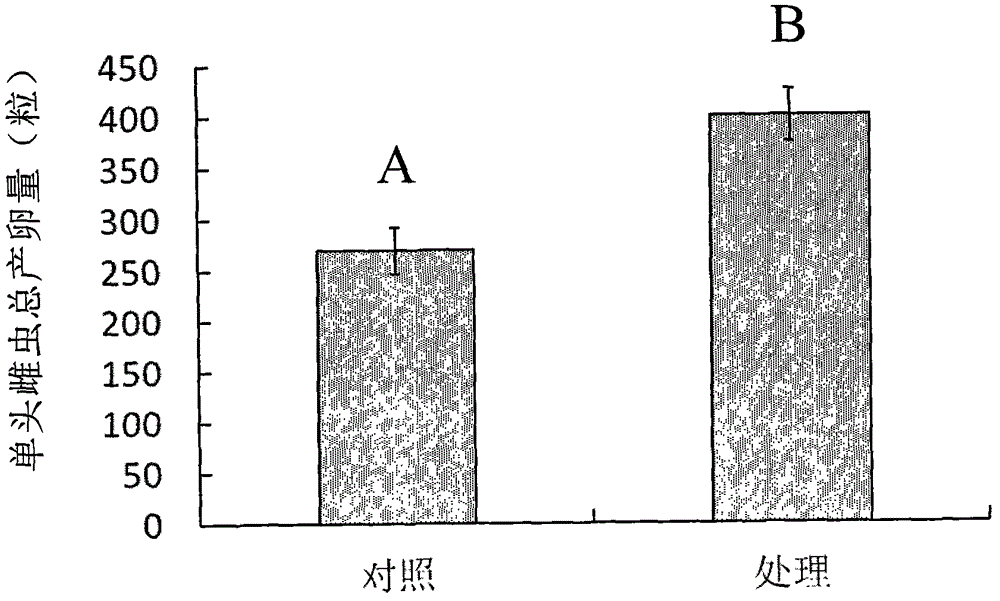 Method for improving reproductive capacity of Chrysopa septempunctata