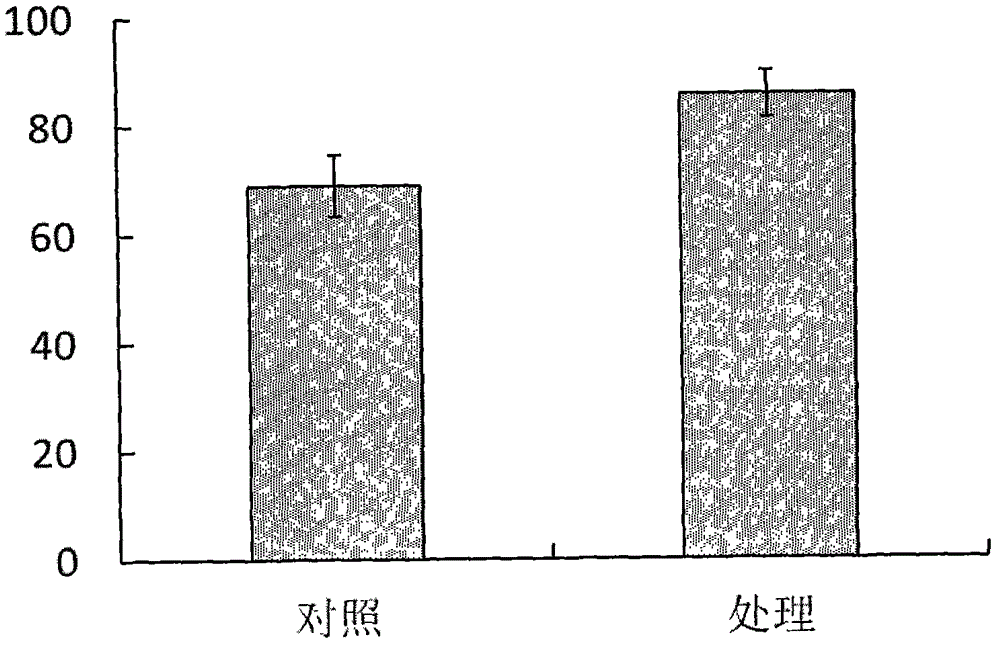 Method for improving reproductive capacity of Chrysopa septempunctata