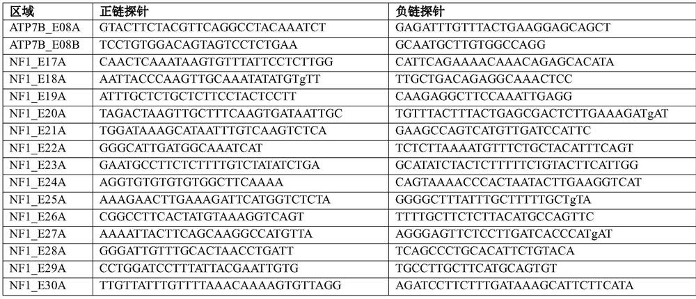 High-throughput method for simultaneously detecting gene mutation and copy number change