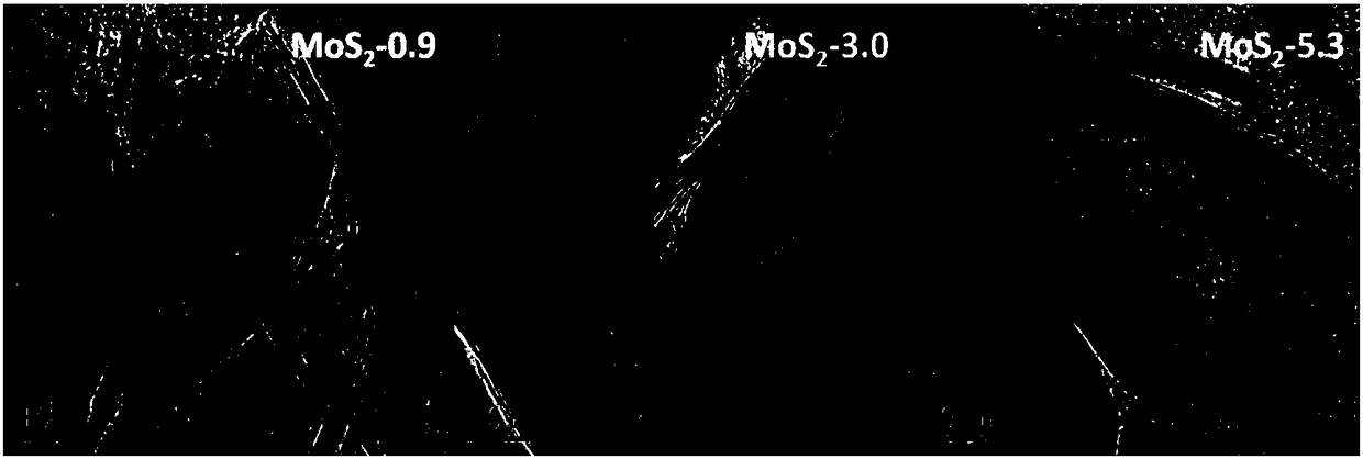 Shape-controlled preparation method of MoS2 nano particles