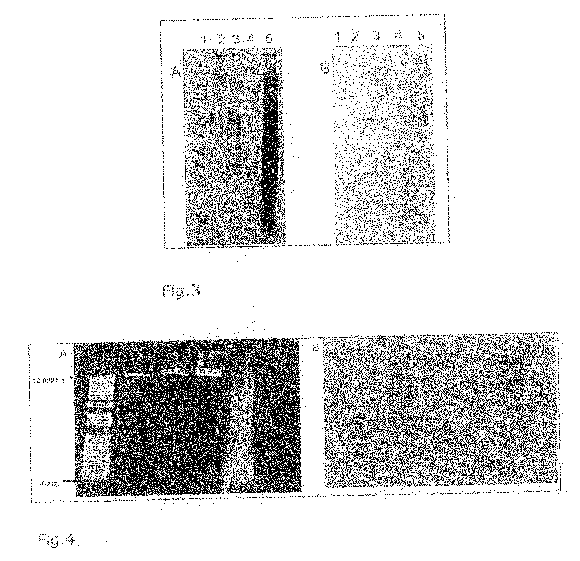 Method for influenza virus protection