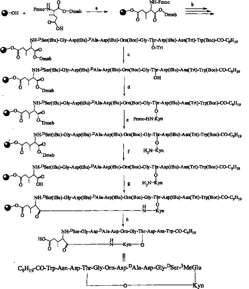 Daptomycin analog and full solid phase synthesis preparation method thereof