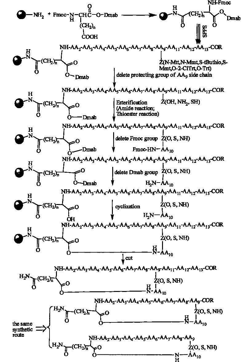 Daptomycin analog and full solid phase synthesis preparation method thereof