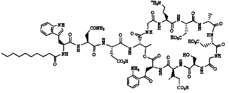 Daptomycin analog and full solid phase synthesis preparation method thereof