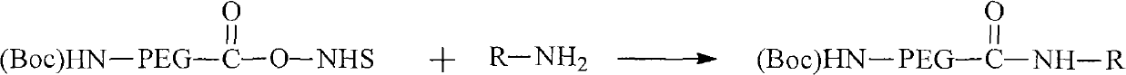 Amphipathic compound using somatostatin analogue as target radical and pharmaceutics application thereof