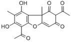 Use of usnic acid and derivatives of usnic acid for preparation of medicaments for treating skin diseases caused by malassezia