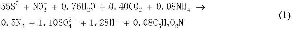 Material for removing nitrates in water by autotrophic microbe denitrification process