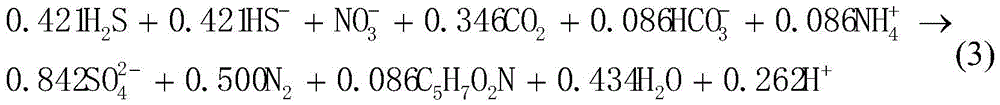 Material for removing nitrates in water by autotrophic microbe denitrification process