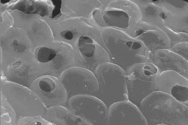 A kind of method that carbonization enteromorpha prepares supercapacitor electrode material