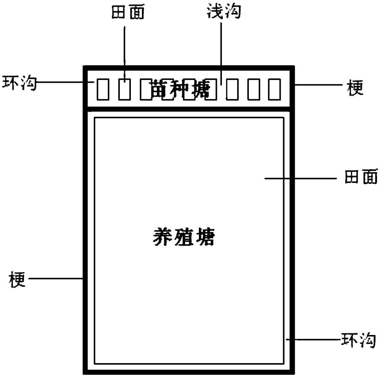 A new planting and breeding method for shrimp and rice rotation