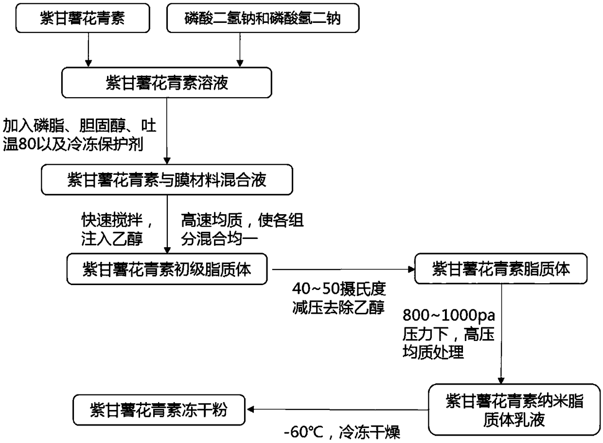 Purple sweet potato anthocyanin nano-liposome and preparation method thereof