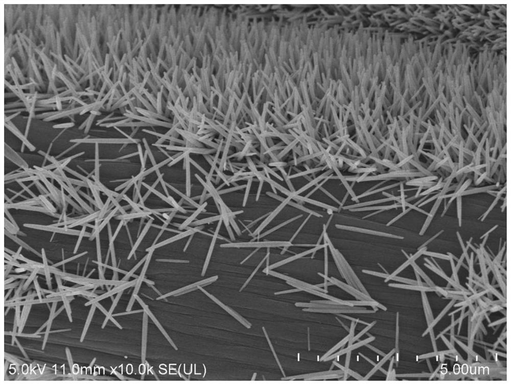 Preparation method of carbon cloth loaded zinc oxide/silver phosphate composite photocatalytic material