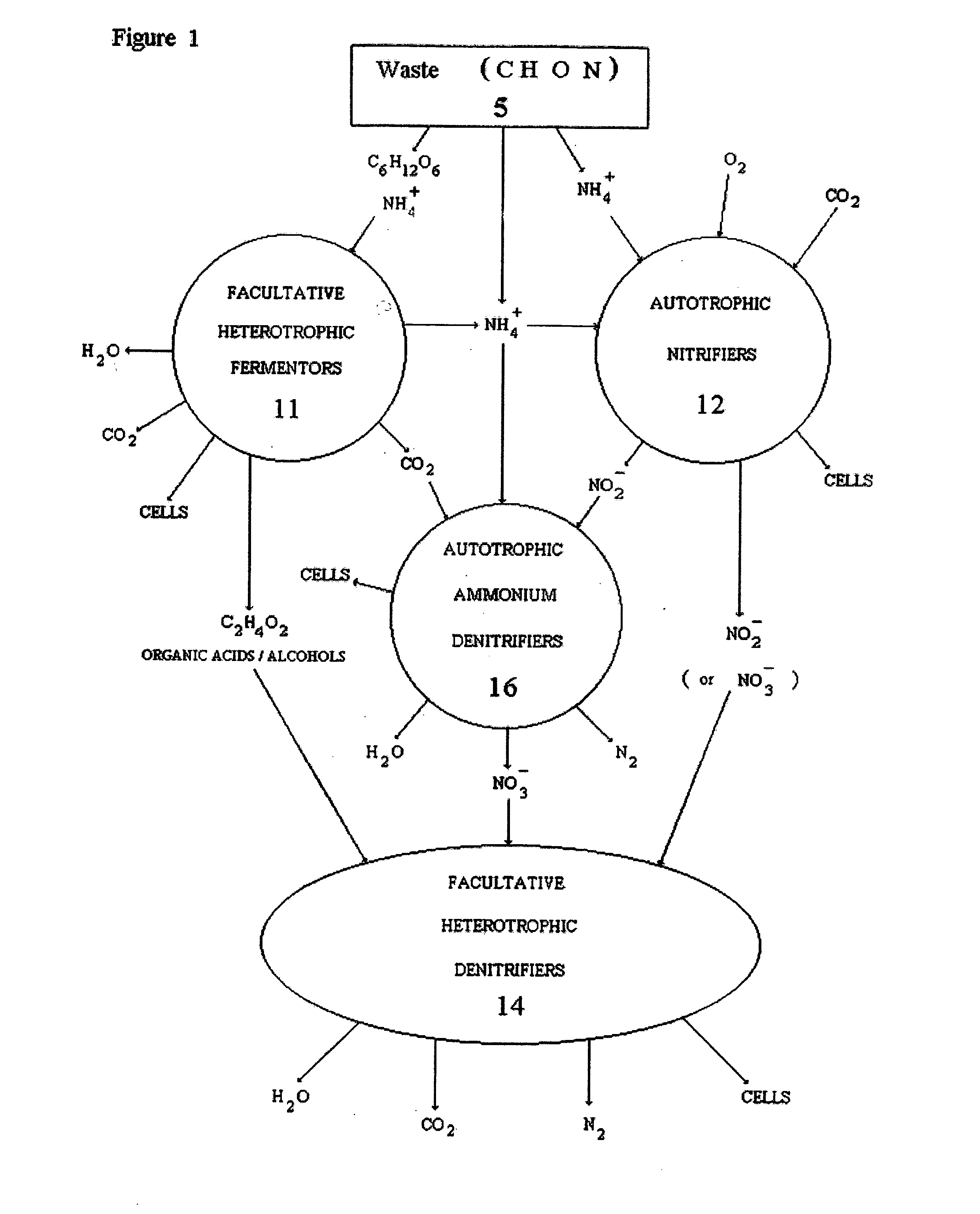 Low oxygen biologically mediated nutrient removal