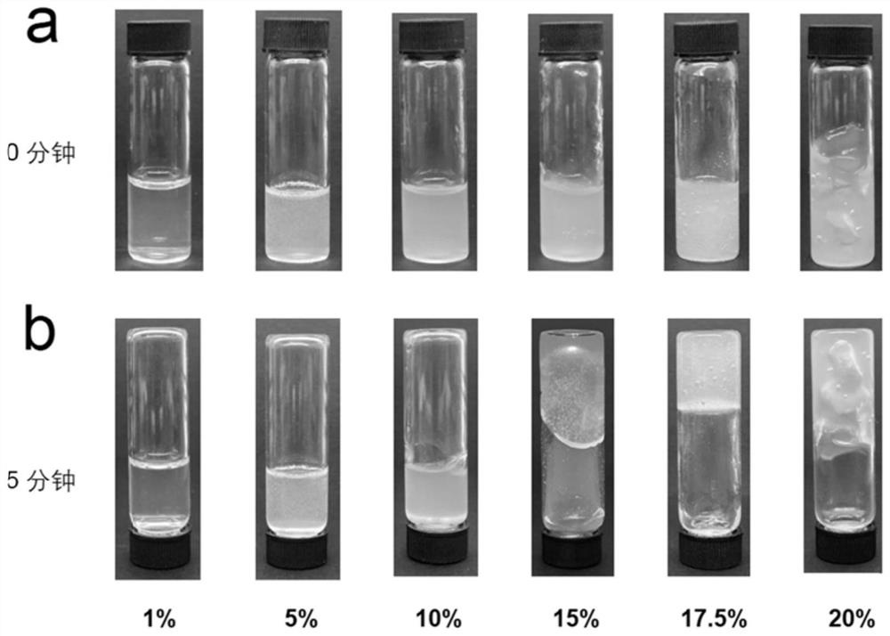 A preparation method and application of 3D printing microneedle patch