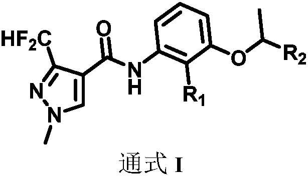 Fungicidal composition and application thereof