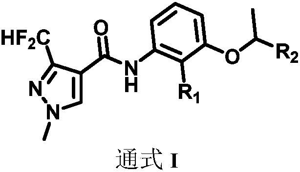 Fungicidal composition and application thereof