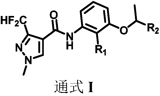 Fungicidal composition and application thereof