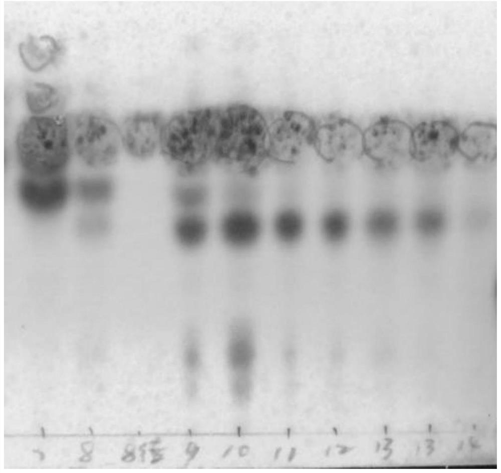 Two triterpenoids in sabia parviflora and preparation method thereof