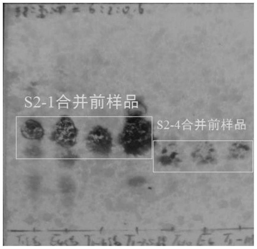 Two triterpenoids in sabia parviflora and preparation method thereof