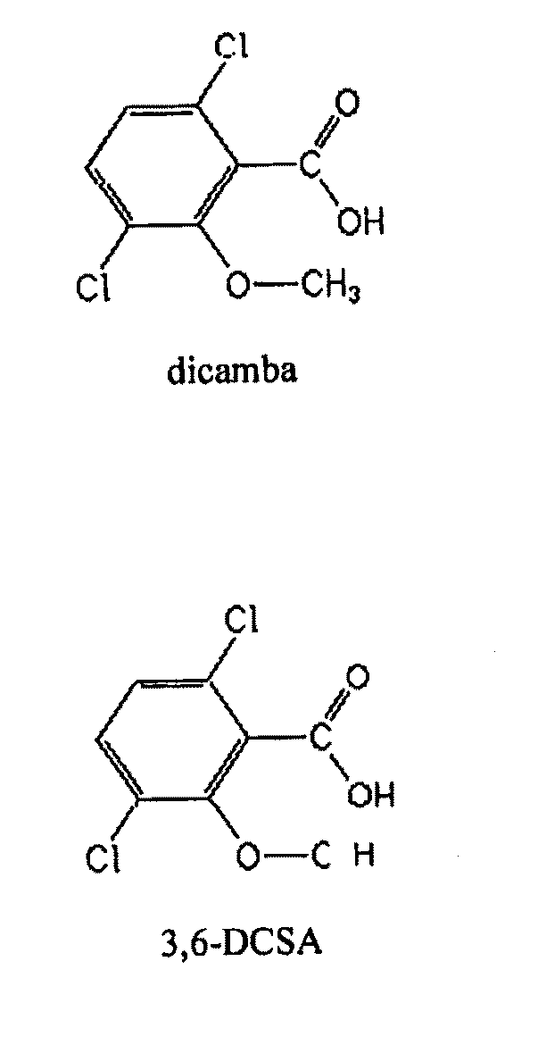 Methods and Compositions for Improving Plant Health