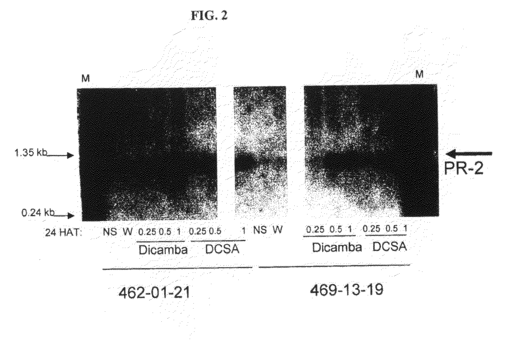 Methods and Compositions for Improving Plant Health