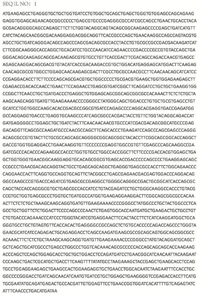 Construction method and application of novel gene modification enhanced NY-ESO-1 specific TCR-T model