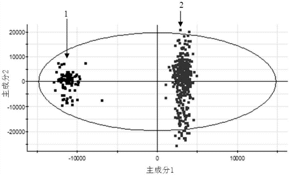 Method for identifying metabolic markers based on heart Yang deficiency syndrome of coronary heart diseases