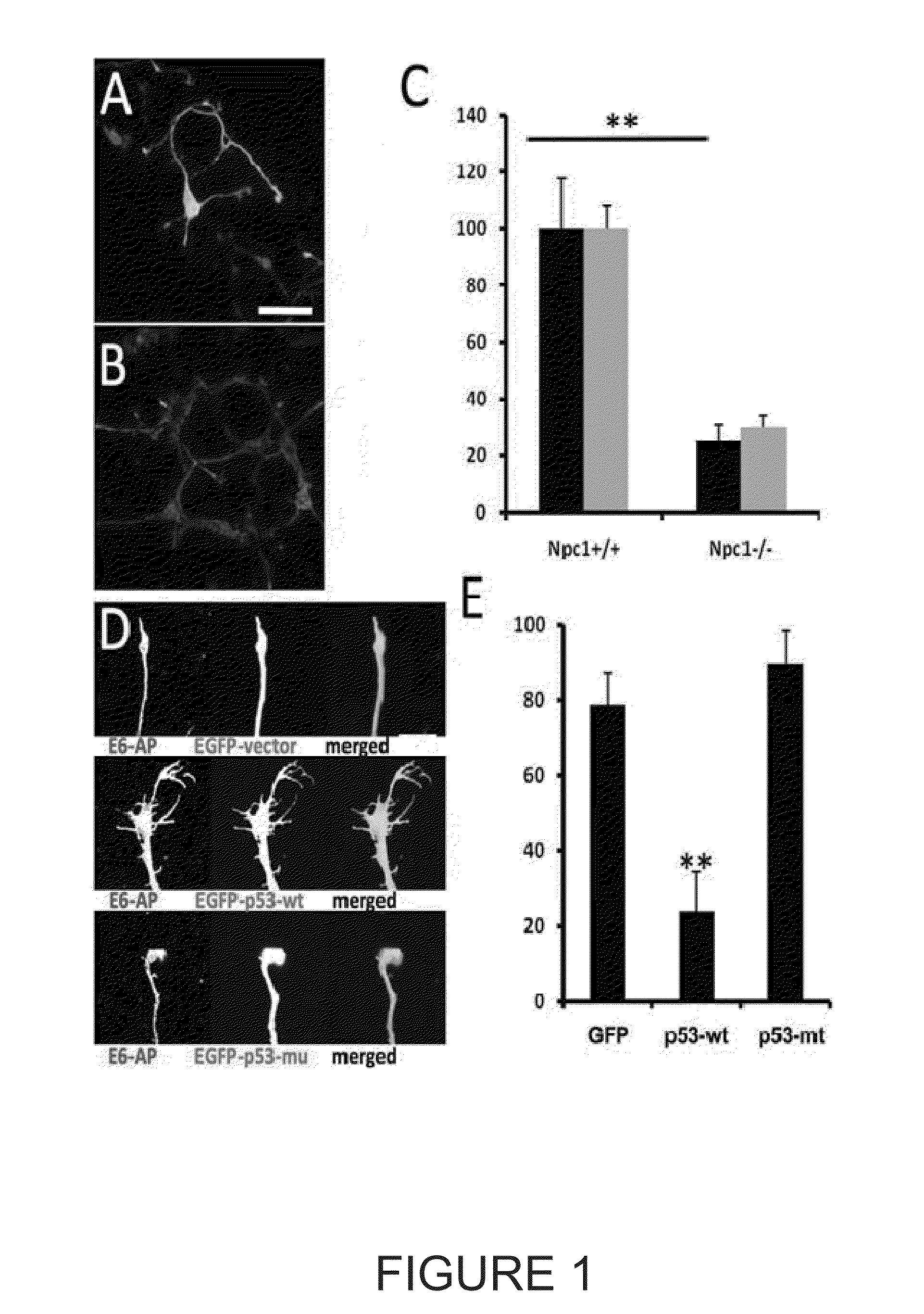 Methods of treating neurodegenerative disorders and diseases