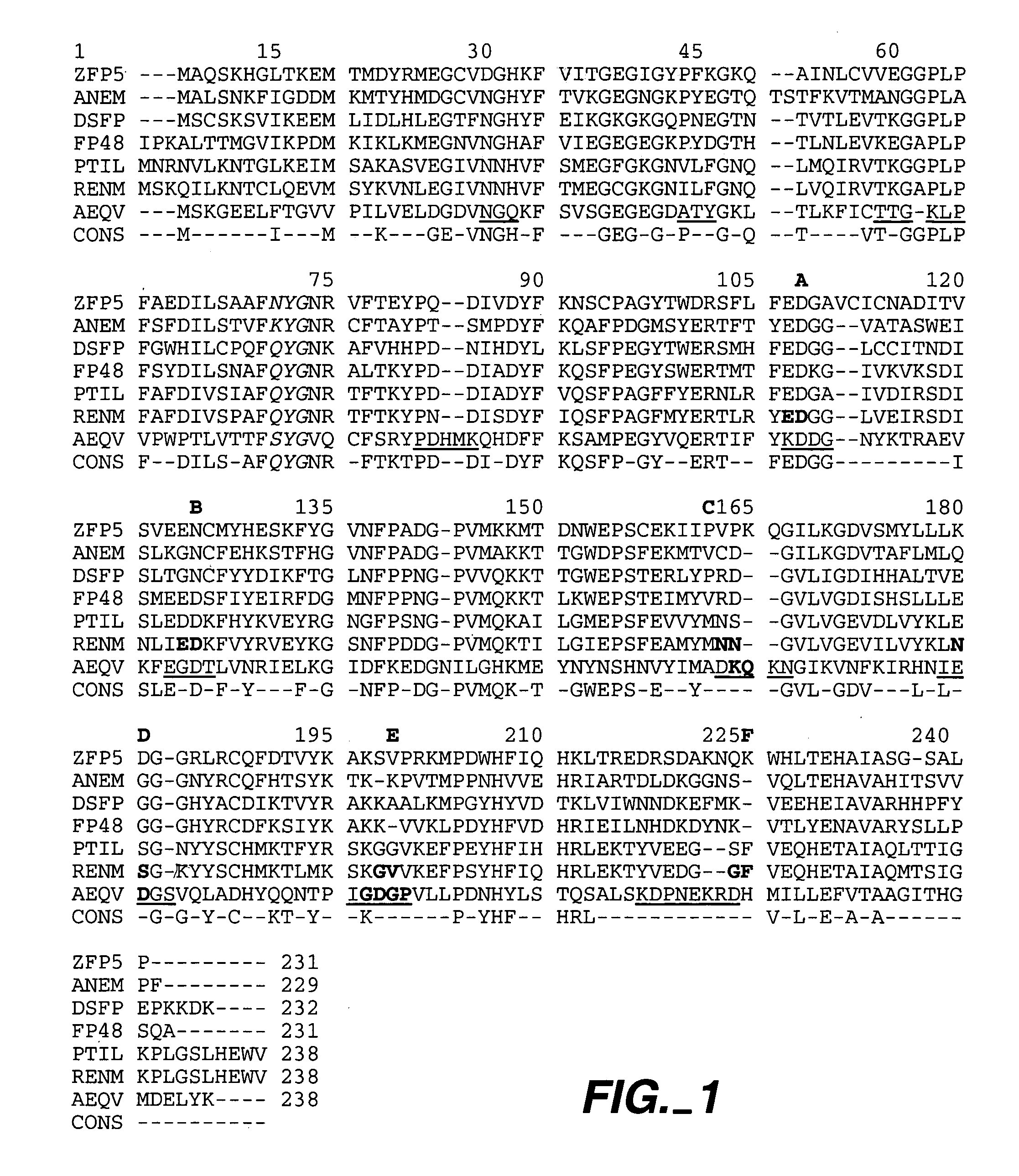 Methods and compositions comprising <i>Renilla </i>GFP