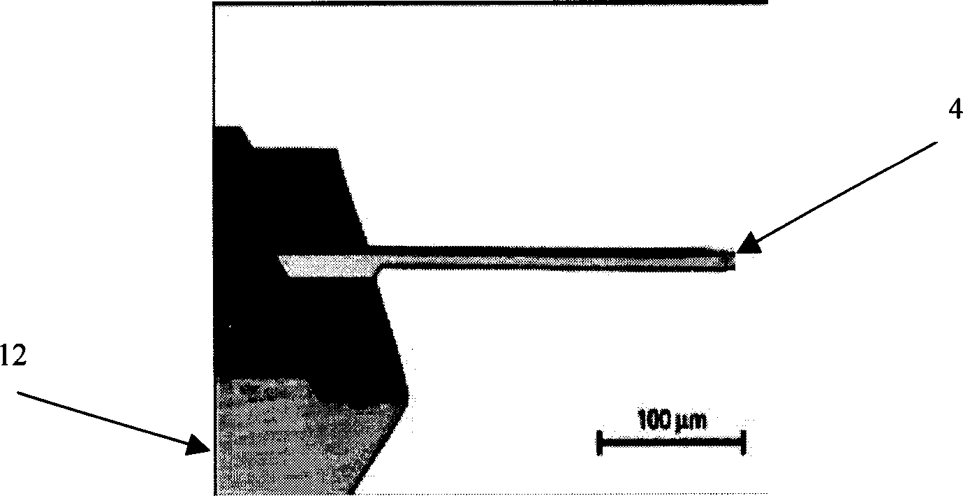 Method and devices of biochemical detection by using micro semi girder