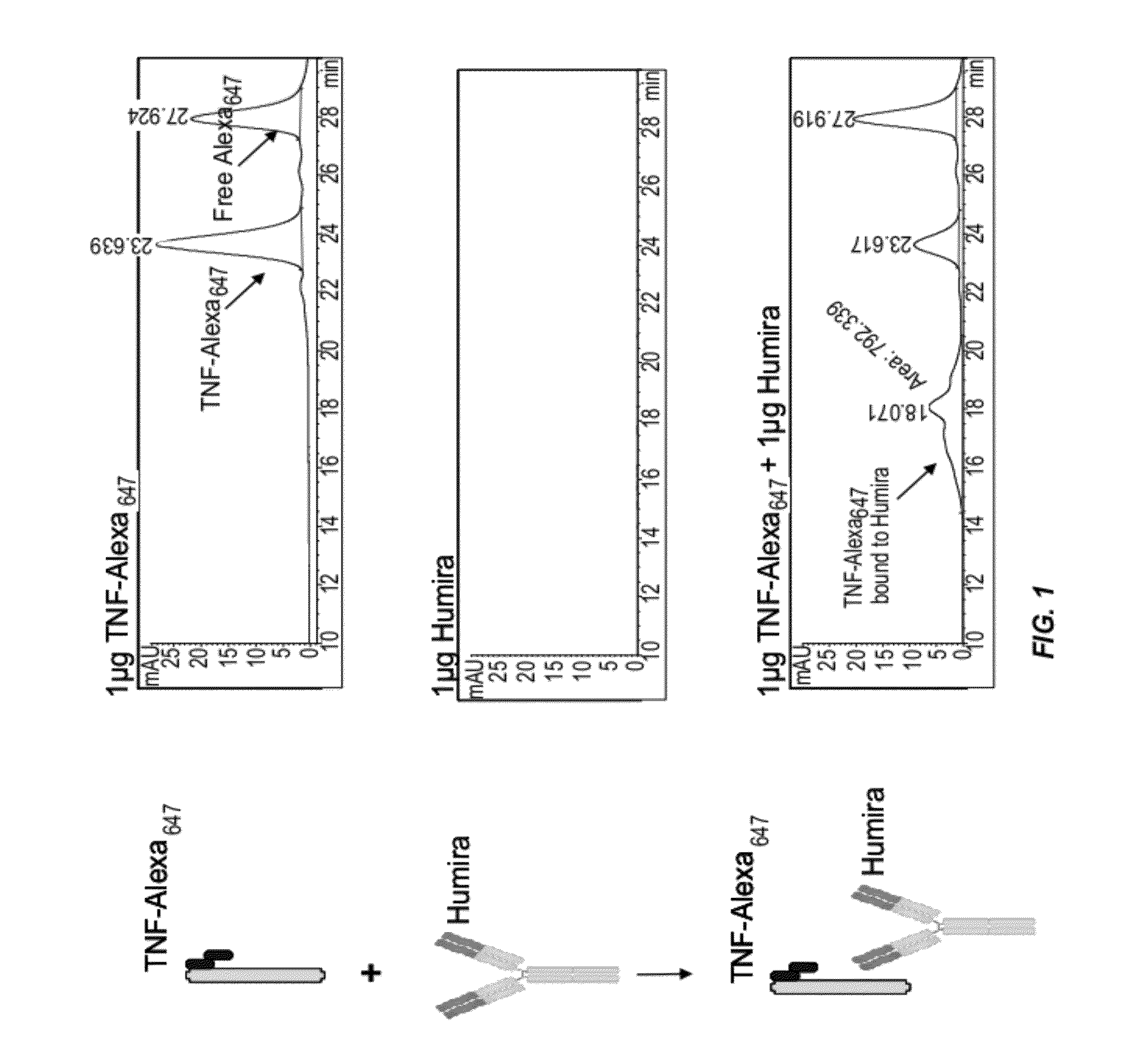 Assays for the detection of anti-TNF drugs and autoantibodies