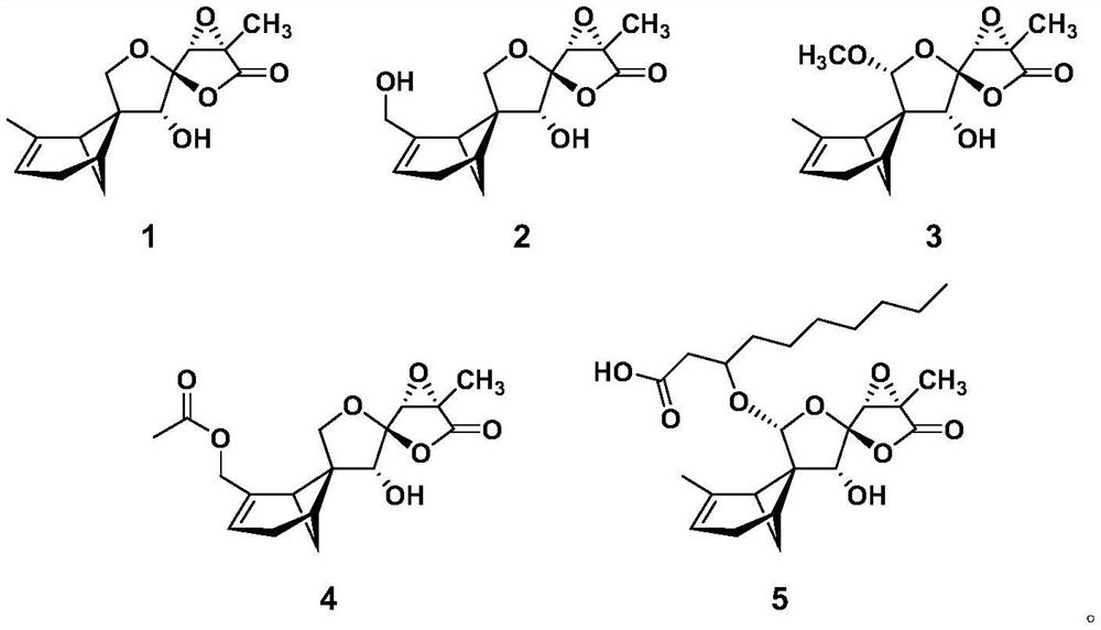 A sesquiterpene compound, fungal secondary metabolite extract containing it and use thereof