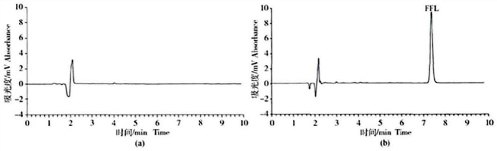 Preparation method and application of four-arm polyethylene glycol succinic acid florfenicol compound