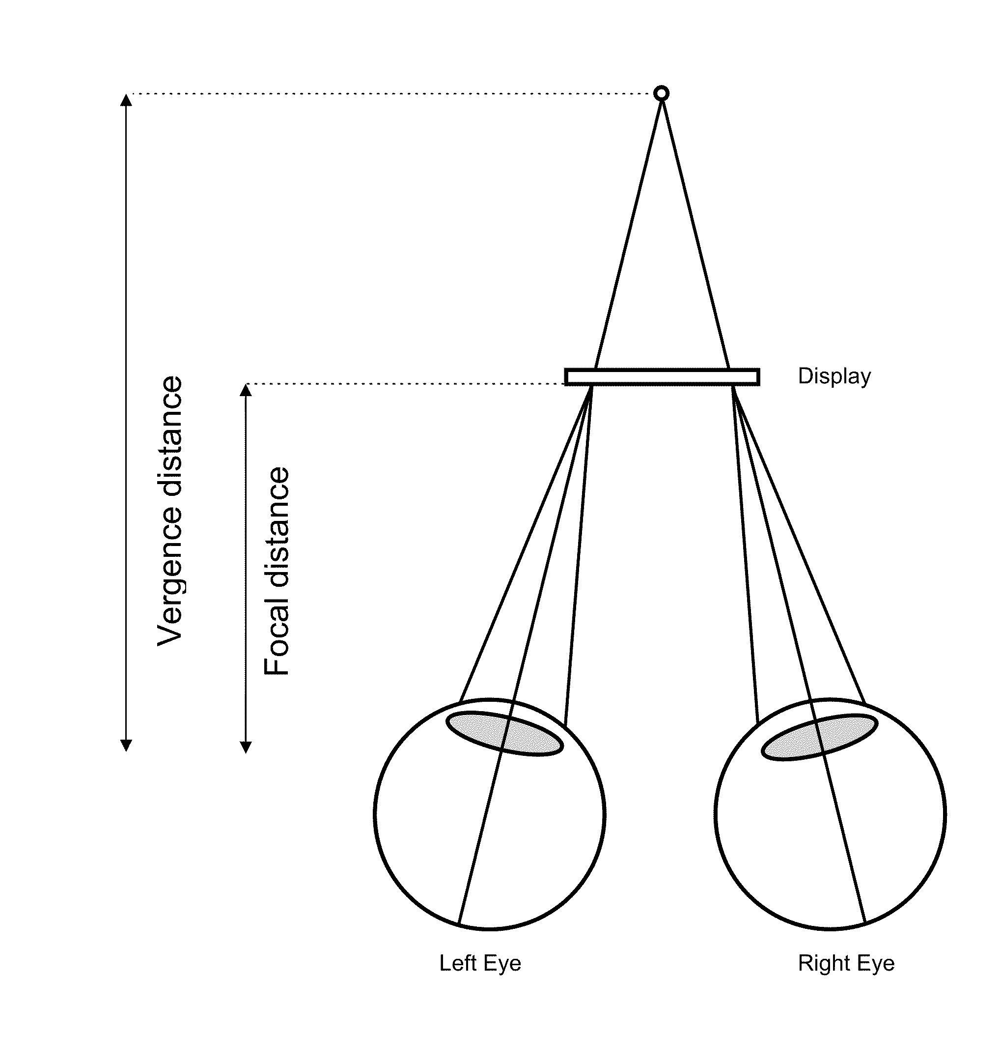 Stereoscopic visualization system