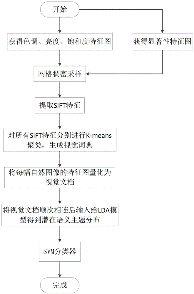 Natural Image Classification Method Based on Latent Dirichlet Allocation