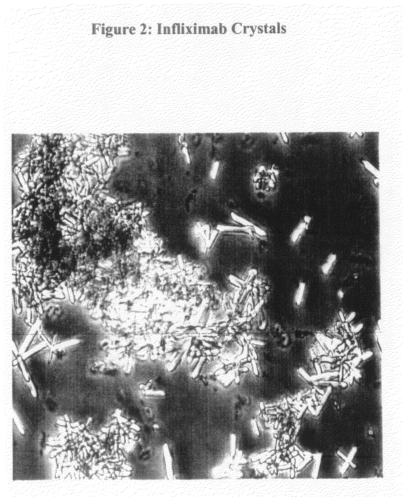 Crystals of whole antibodies and fragments thereof and methods for making and using them