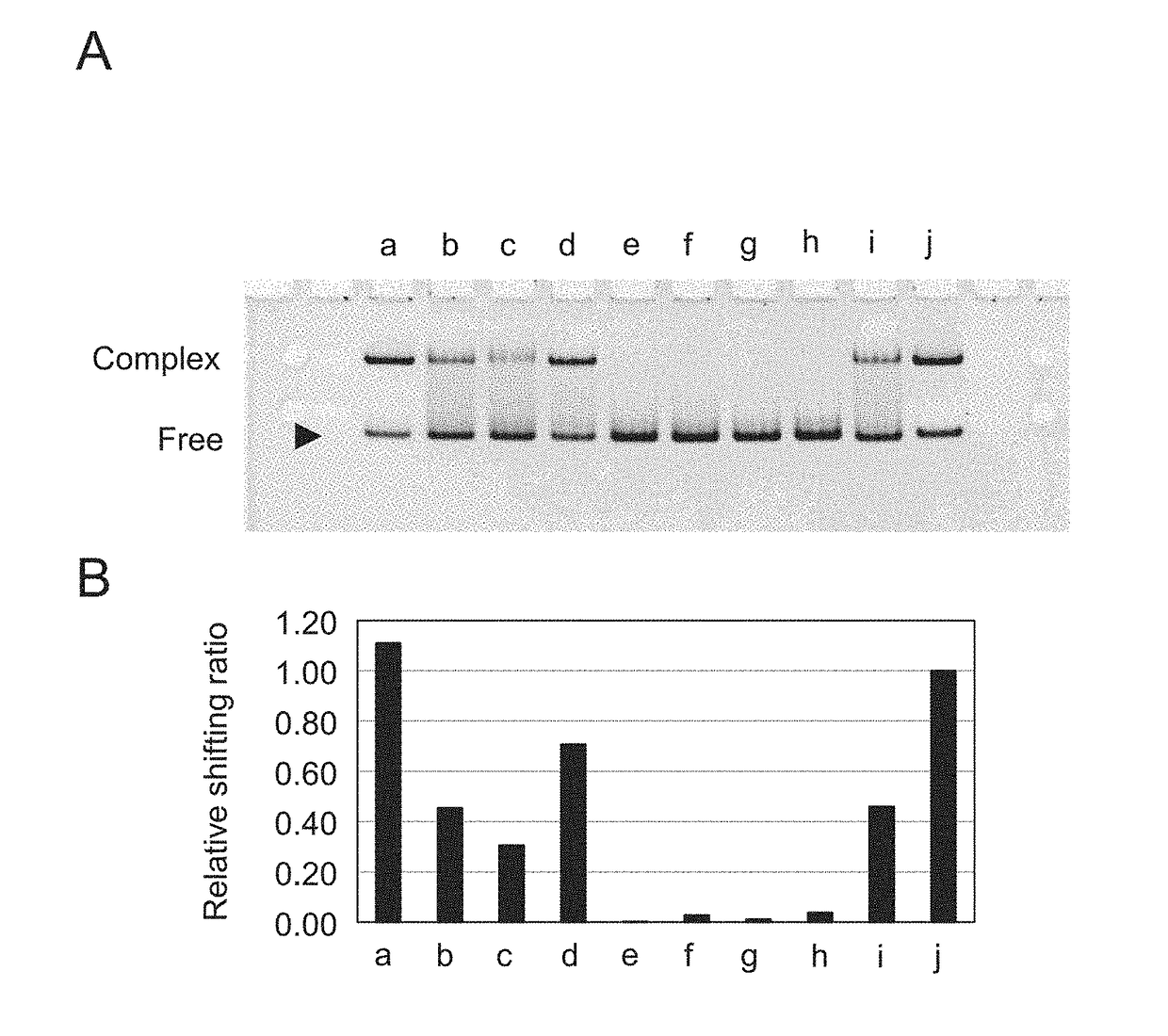 DNA APTAMER THAT BINDS TO vWF