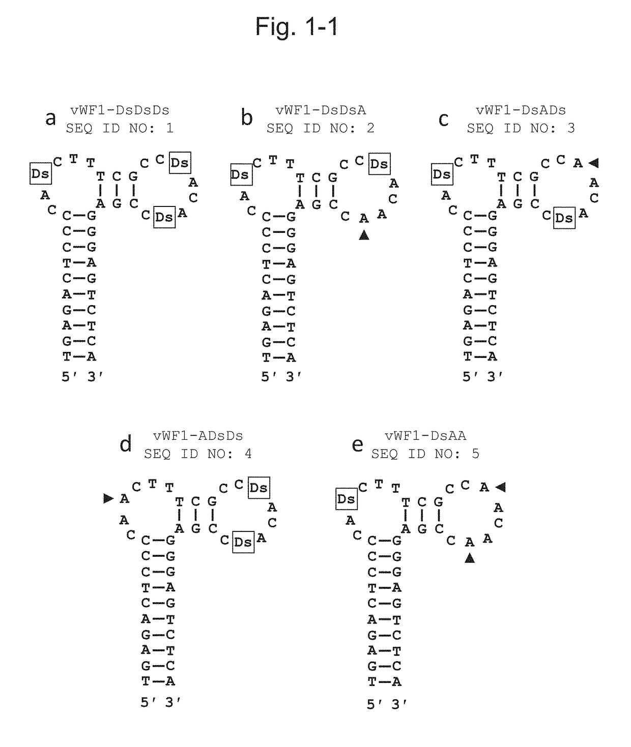 DNA APTAMER THAT BINDS TO vWF