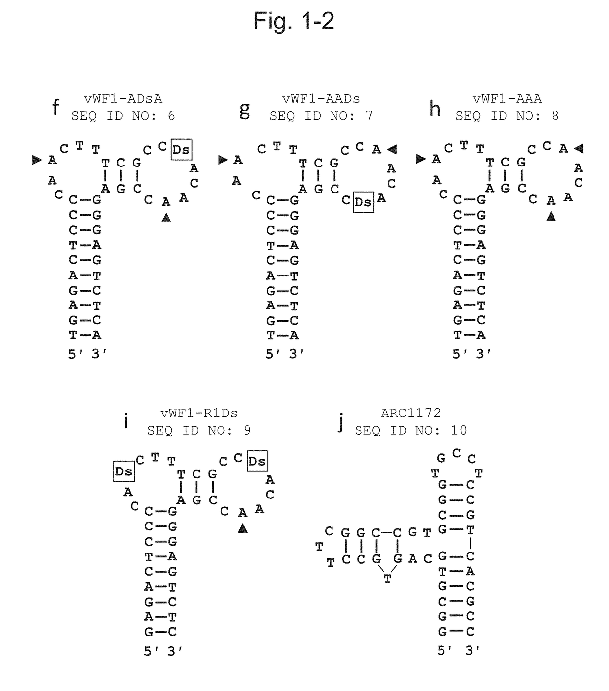 DNA APTAMER THAT BINDS TO vWF