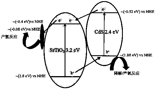 Photocatalyst, preparation method and application thereof