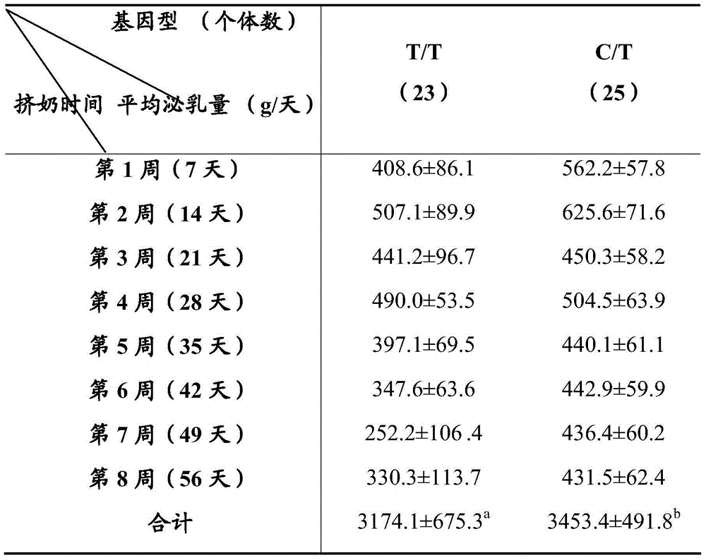 Method for predicating milk yield of small tailed han sheep by virtue of BMPR (bone morphogenetic protein receptor )-1B or PRLR (prolactin receptor) gene SNP (single nucleotide polymorphism) lotus