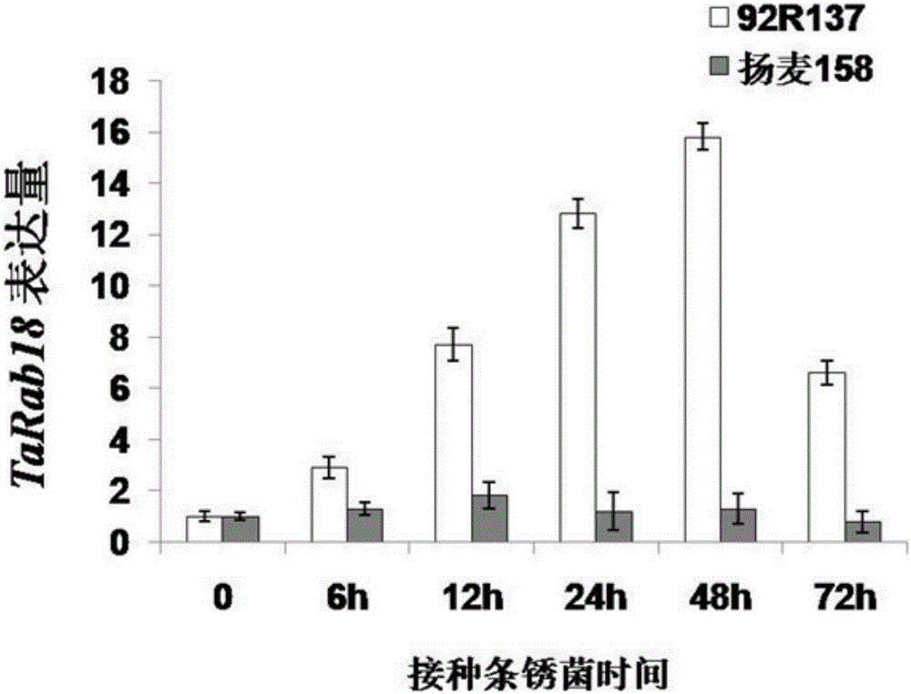 Small GTP binding protein gene TaRab18 and expression vector and application thereof