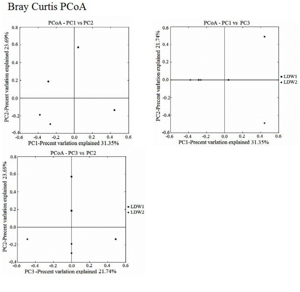 Detection method for biological community structures of ocean brown tide